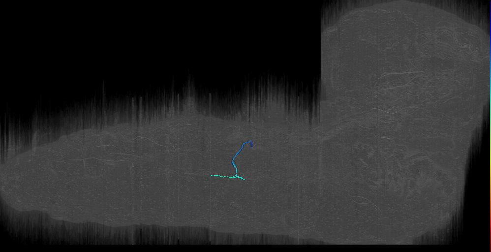v'esA or v'esB or v'es2[1][2]_a1r (L1EM:7633929)