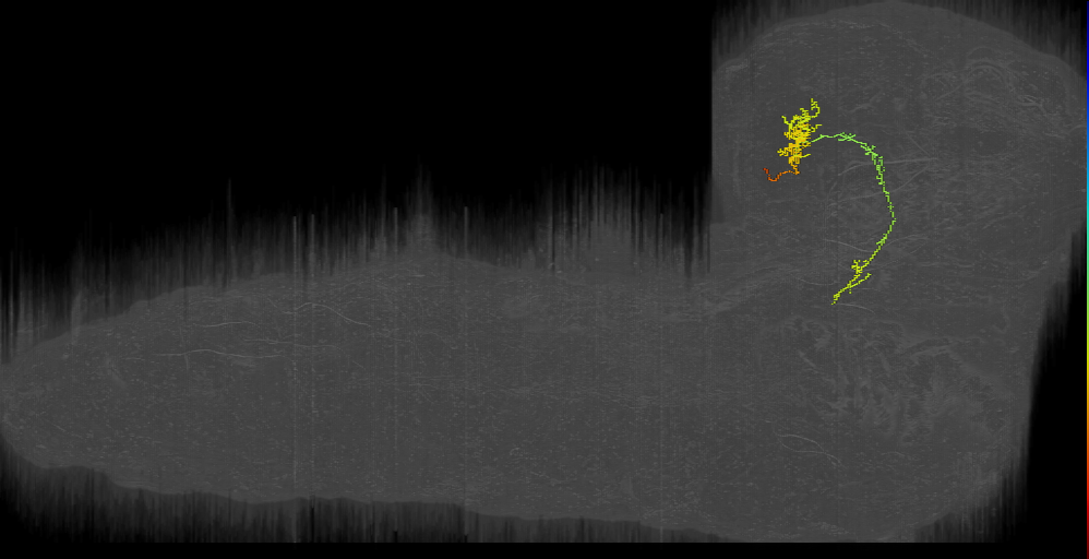 CN-51 (L1EM:5453333)