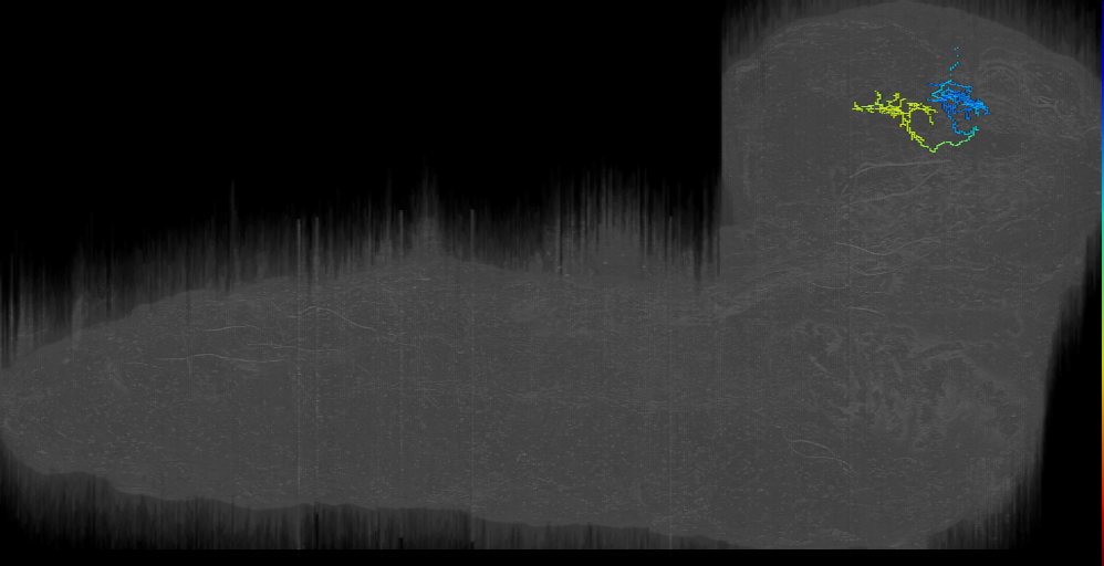 FB-24 (L1EM:17019327)