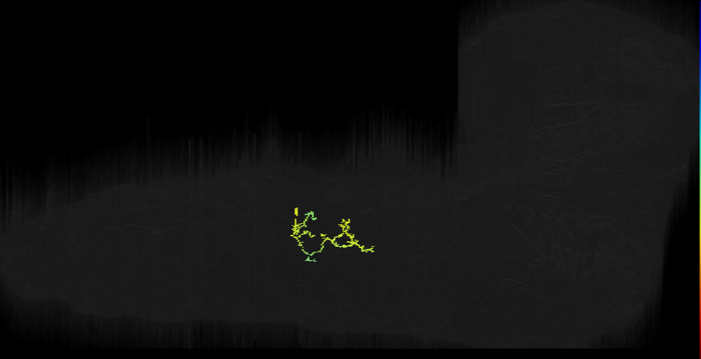 Larval motor circuit neurons (Zwart2016)