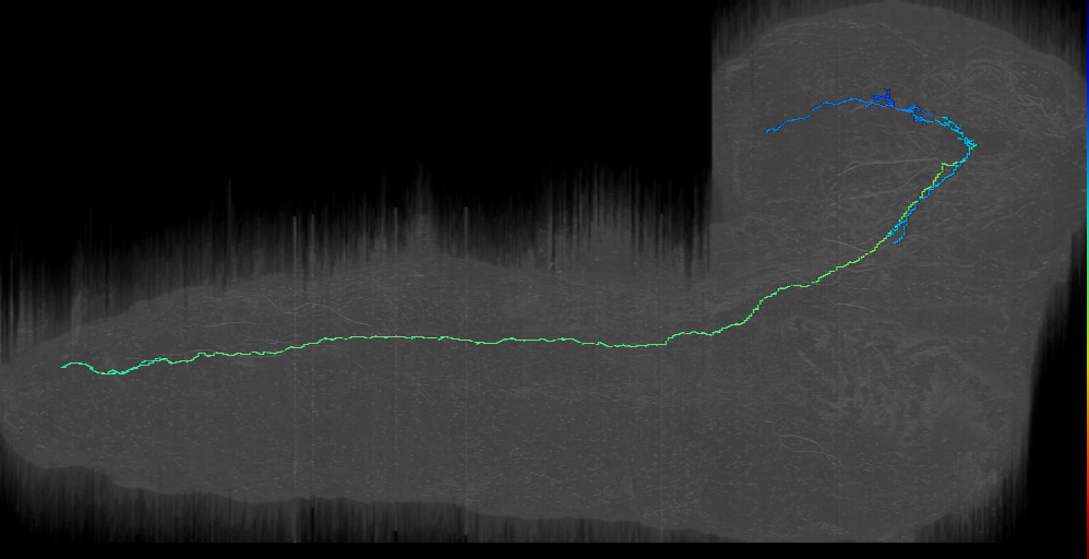 CP1 d 1 right (L1EM:7569260)