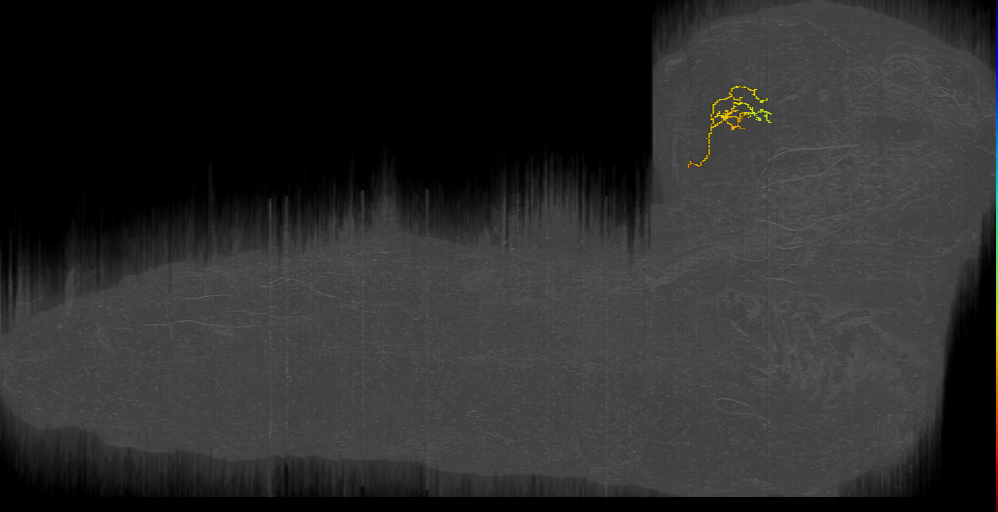 BLP12 claw 3 left (L1EM:8765298)