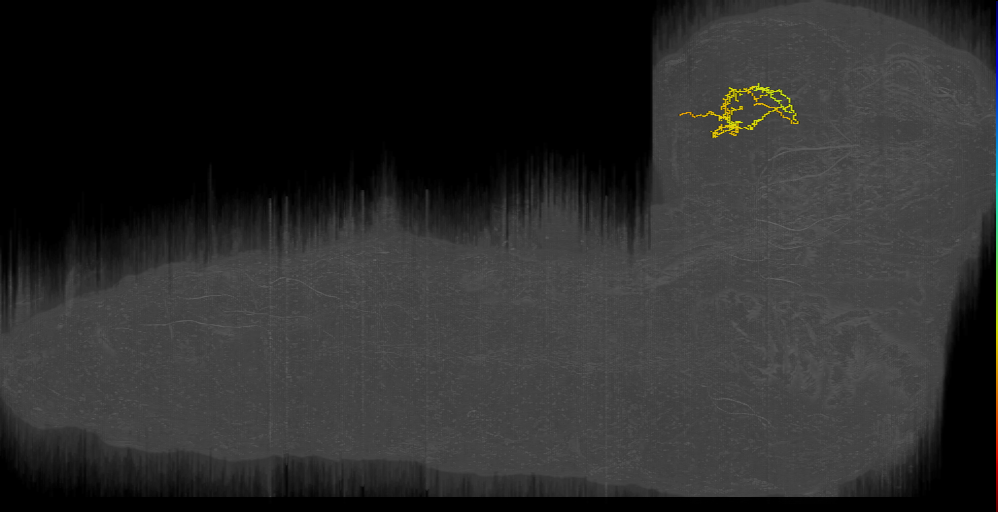 LH-3 (L1EM:14333371)