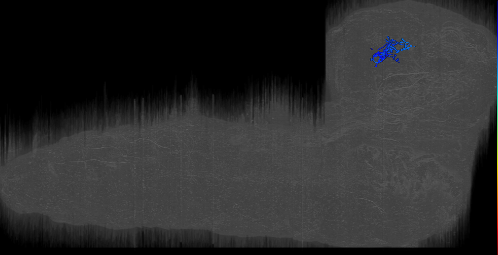 BLDc LH right (L1EM:17896997)