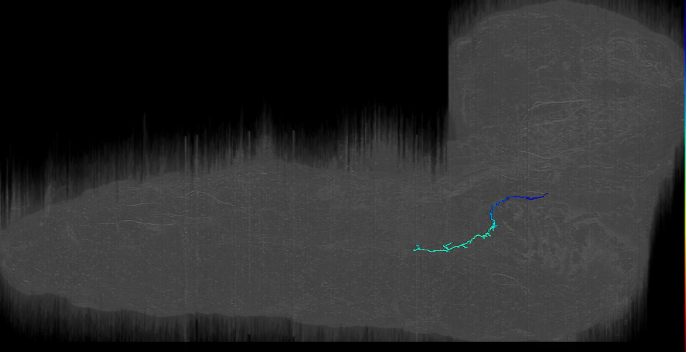 PaN-R-Sens-B1-VM-02 (L1EM:2268281)