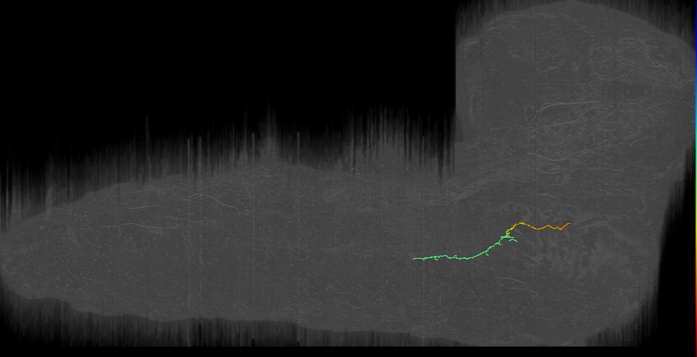 PaN-L-Sens-B1-VM-01 (L1EM:2495308)