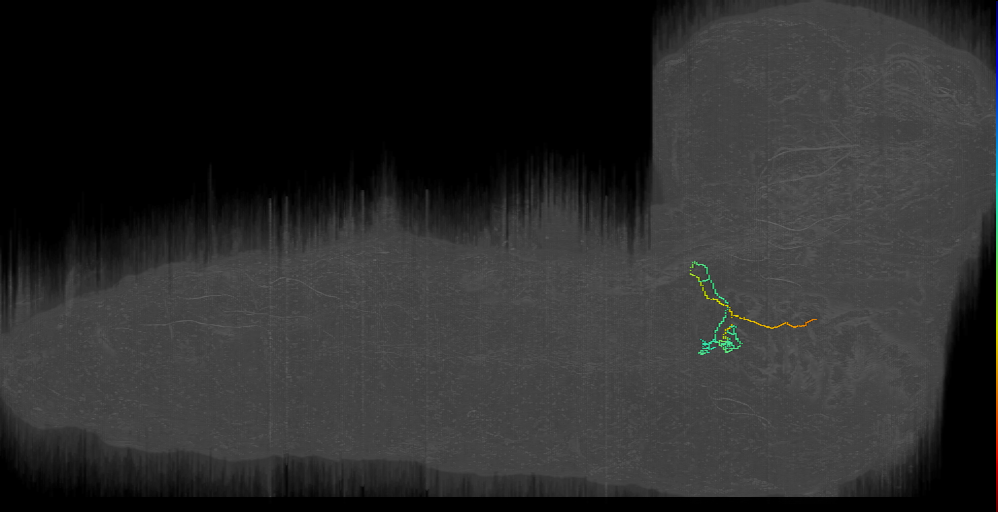 PaN-L-Sens-B1-VM-04 (L1EM:2505675)