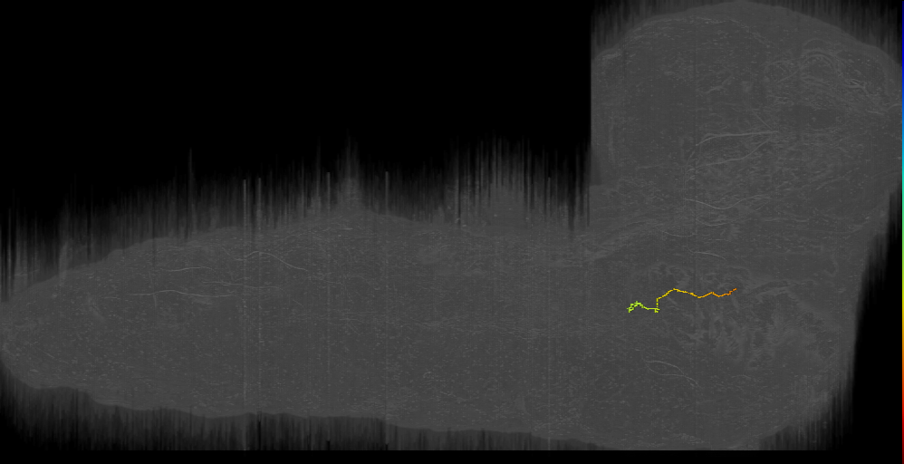 PaN-L-Sens-B1-VM-02 (L1EM:2668719)