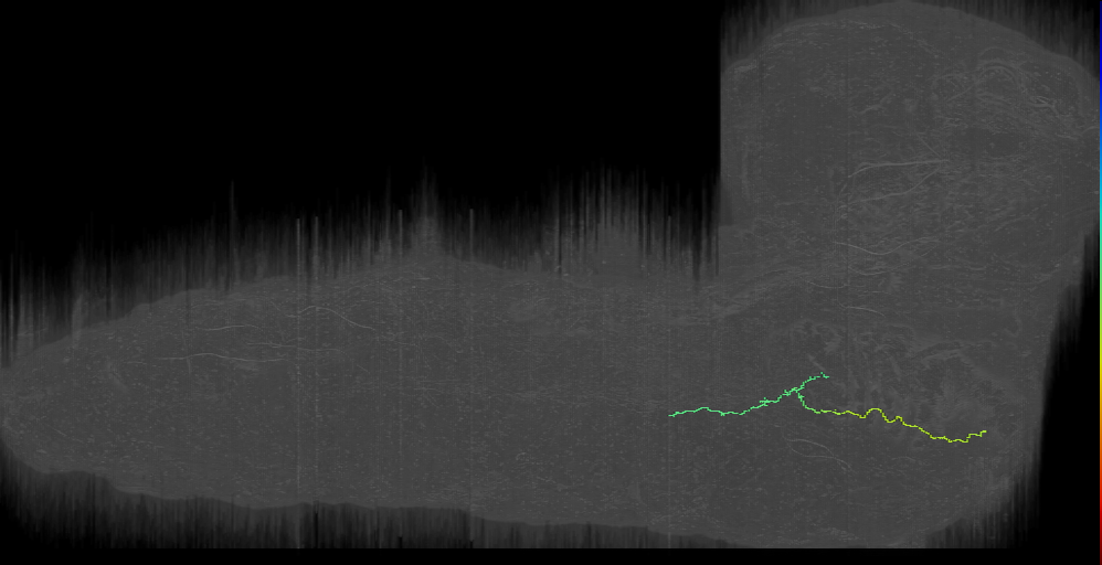 MN-L-Sens-B3-VM-12 (L1EM:3036249)