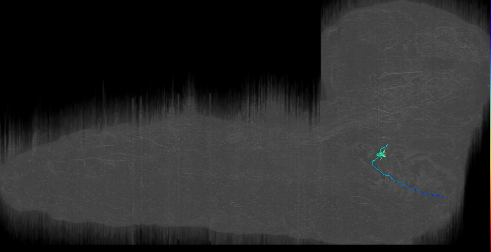 MN-R-Sens-B2-AVp-02 (L1EM:8810739)
