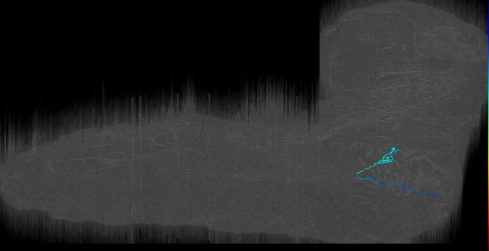 MN-R-Sens-B3-AVp-01 (L1EM:15638968)