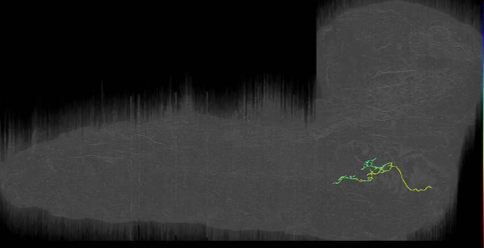 MN-L-Sens-B1-VM-02 (L1EM:15698623)