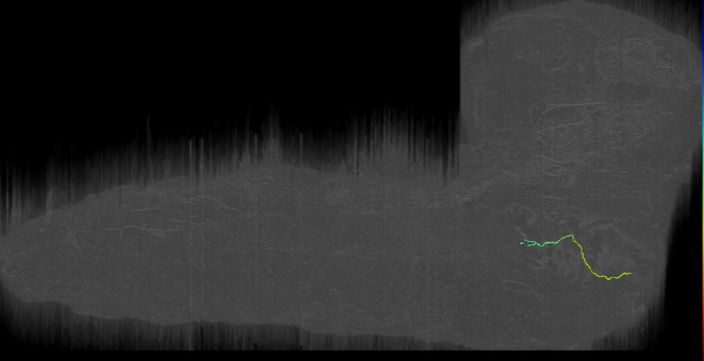 MN-L-Sens-B1-VM-03 (L1EM:15714330)