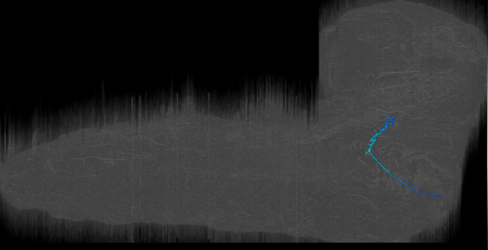 MN-R-Sens-B2-ACpl-02 (Awesome MN sensory 1) (L1EM:15746421)