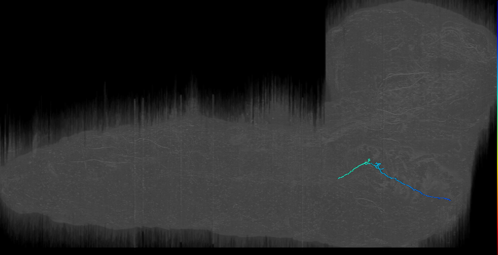 MN-R-Sens-B2-VM-14 (L1EM:15762568)