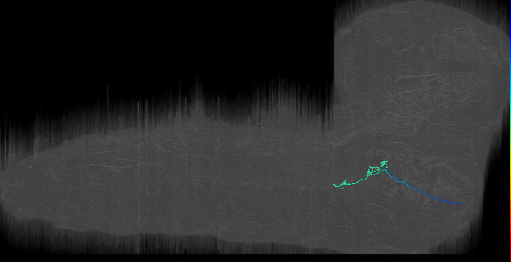 MN-R-Sens-B2-VM-23 (L1EM:18833414)