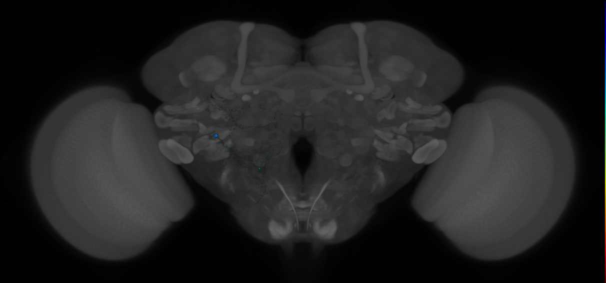 VESa2_P05(PLP)_0_2018U