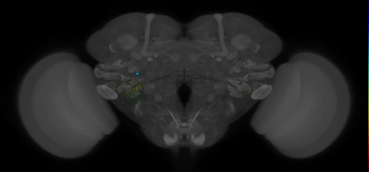 VLPa2_H04(VLP)_0_2018U