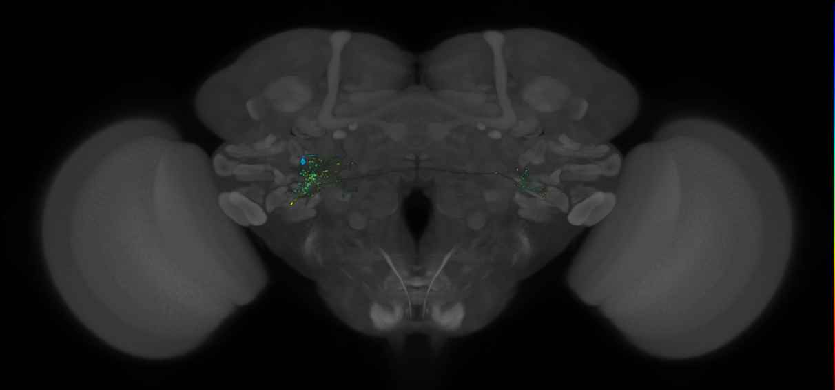 VLPa2_H10(VLP)_0_2018U