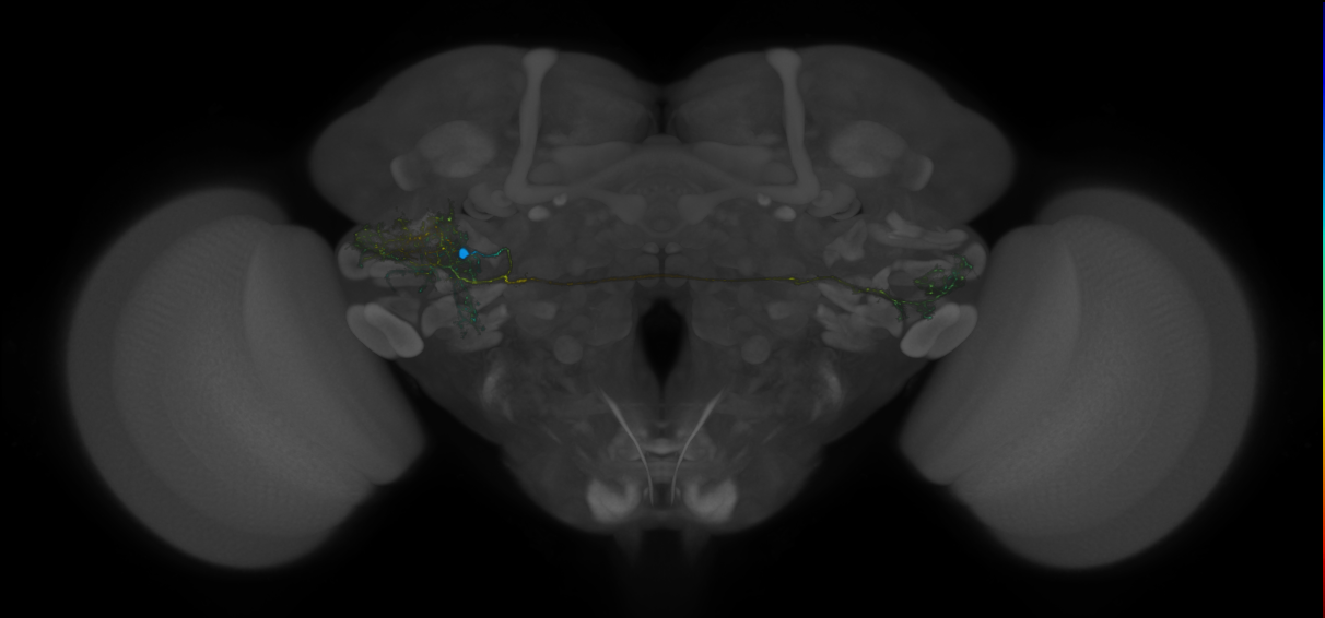 VLPa2_H15(VLP)_0_2018U