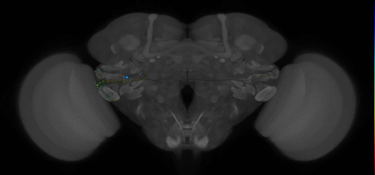 VLPa2_H23(VLP)_0_2018U