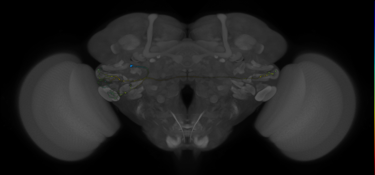 VLPa2_H24(VLP)_0_2018U