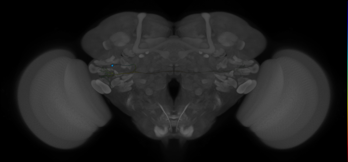VLPa2_H27(VLP)_0_2018U