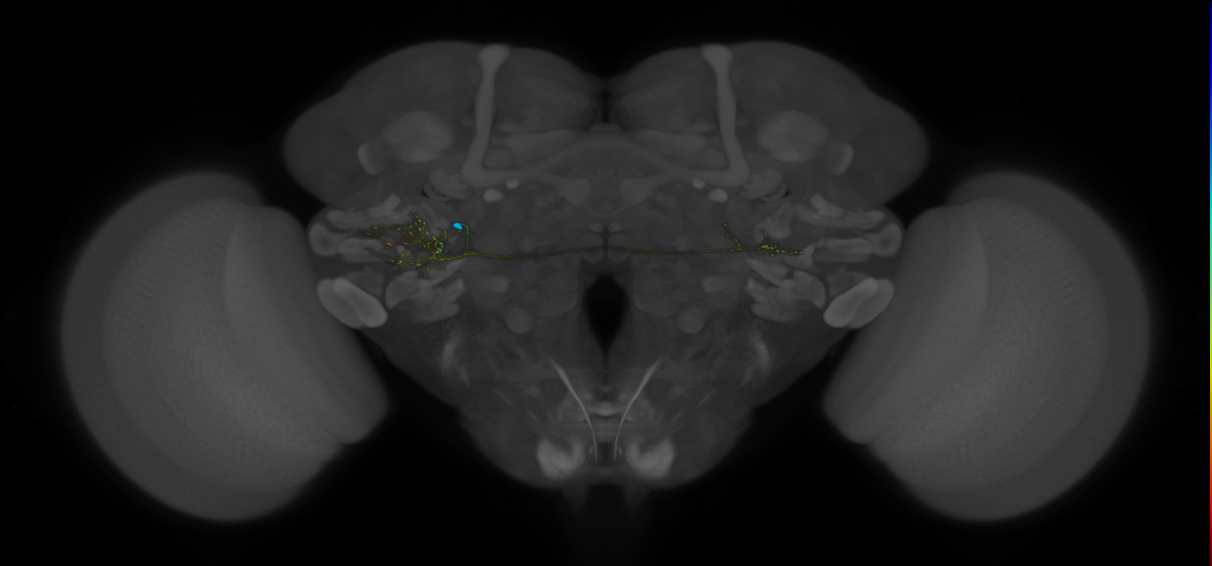 VLPa2_H30(VLP)_0_2018U