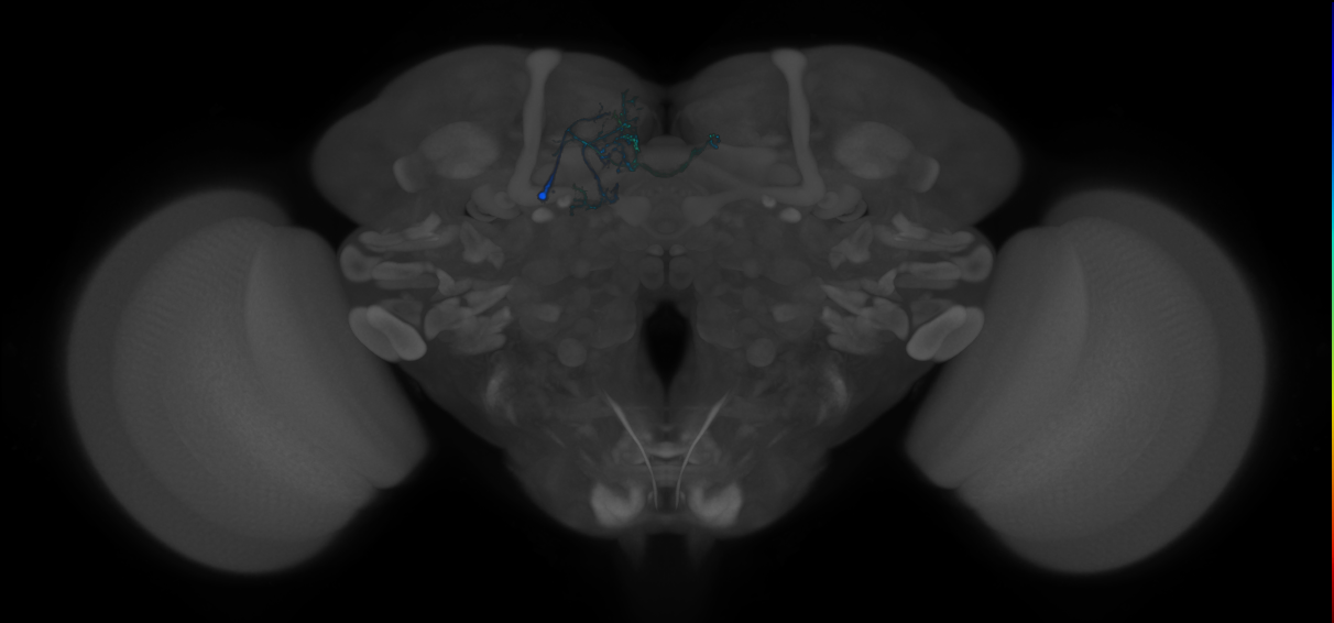 CREa1A_H19(r4_5)_0_2018U
