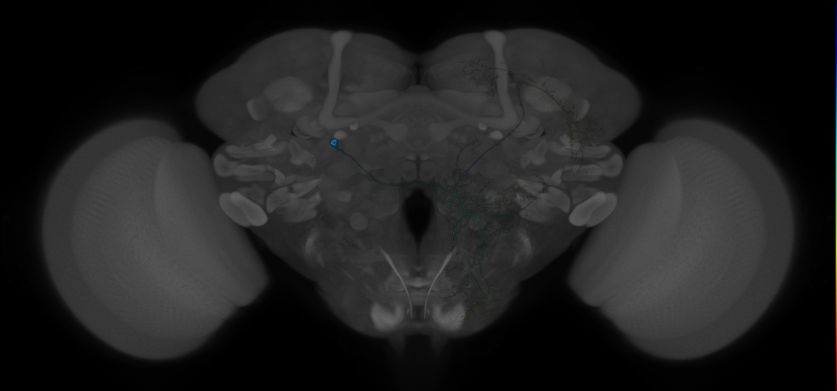 CREa1B_P04(LH)_0_2018U