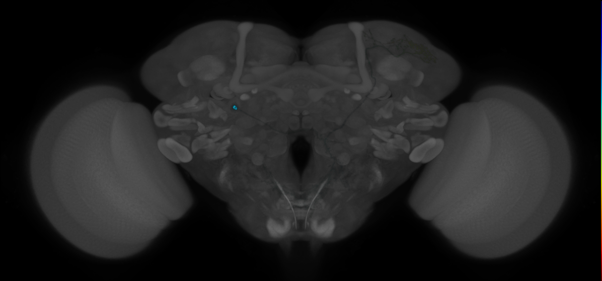 CREa1B_P05(SLP)_0_2018U