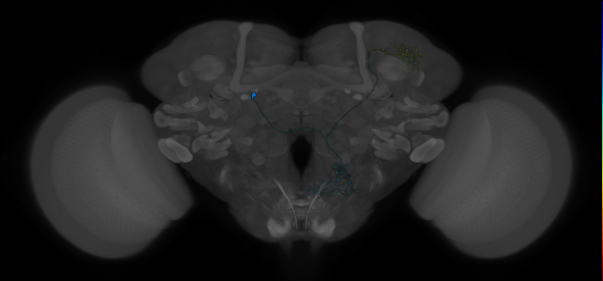 CREa1B_P06(SLP)_0_2018U