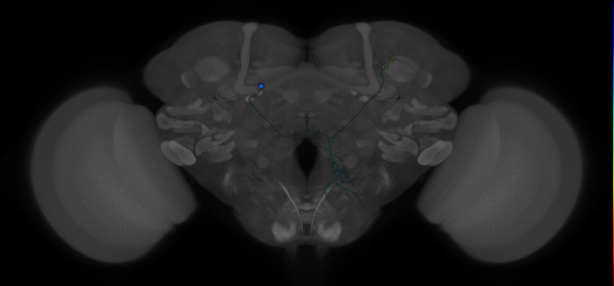CREa1B_P08(SLP)_0_2018U