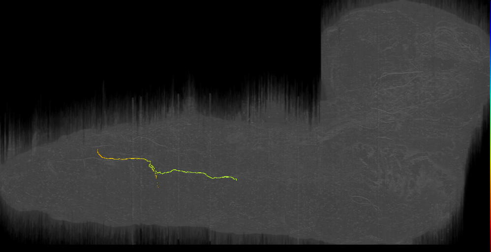 LK-like_a4l-2 (L1EM:429906)