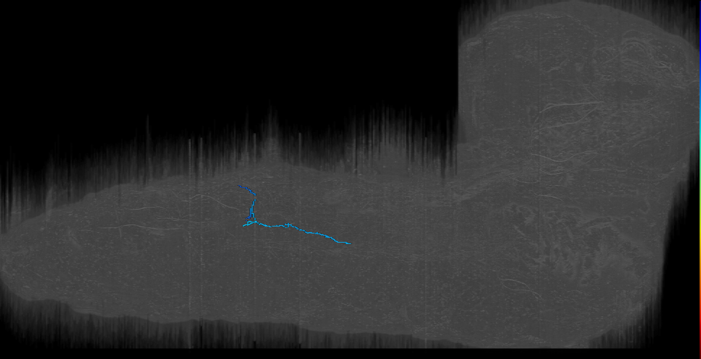 LK-like_a3r (L1EM:2675430)