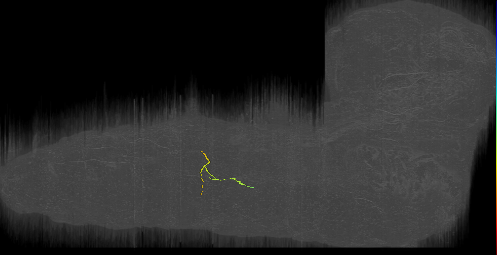 LK-like_a2l (L1EM:10844198)