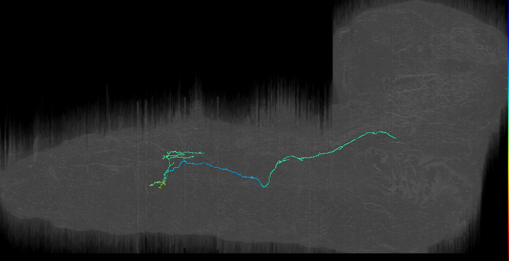 Midline Projection Neuron - A05? (L1EM:13985838)
