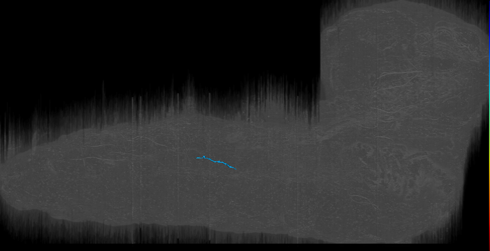 potential sensory fragment (L1EM:15304721)