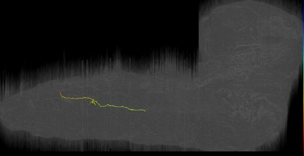 LK-like_a4/5l (L1EM:19166763)