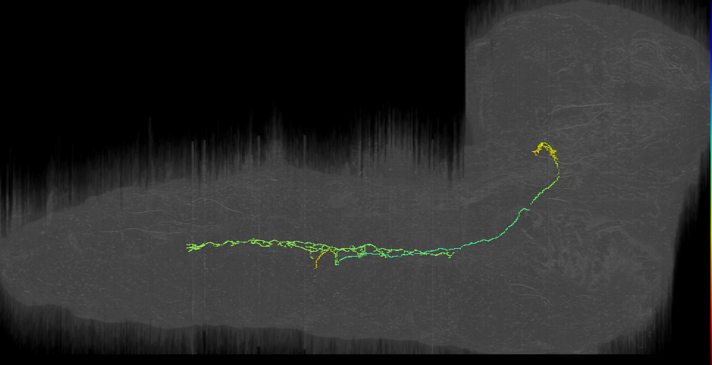 hook-1_a1l (L1EM:2123422)