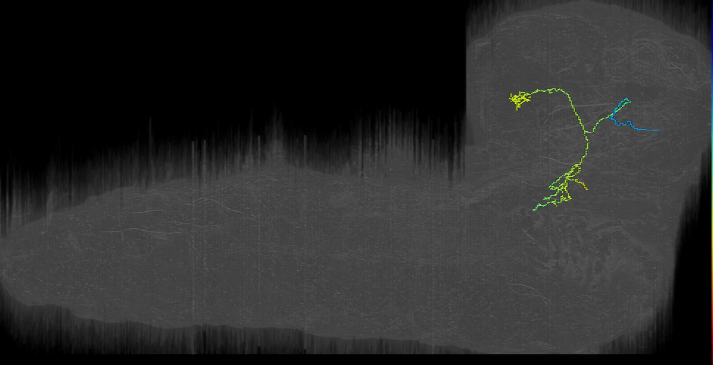 MB2ON-185 (L1EM:2568522)