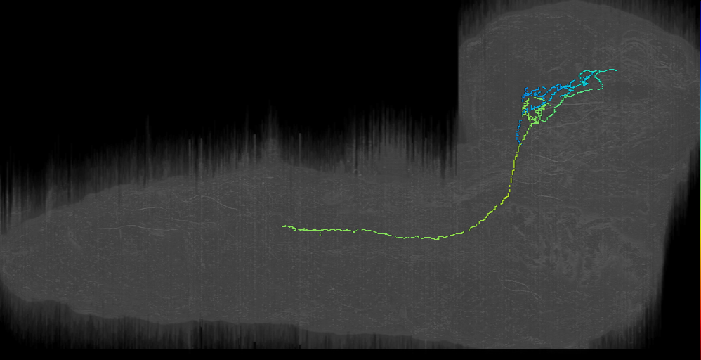 Horseshoe deviant right (L1EM:2669844)