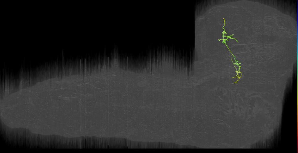 MB2ON-205 (L1EM:2797480)