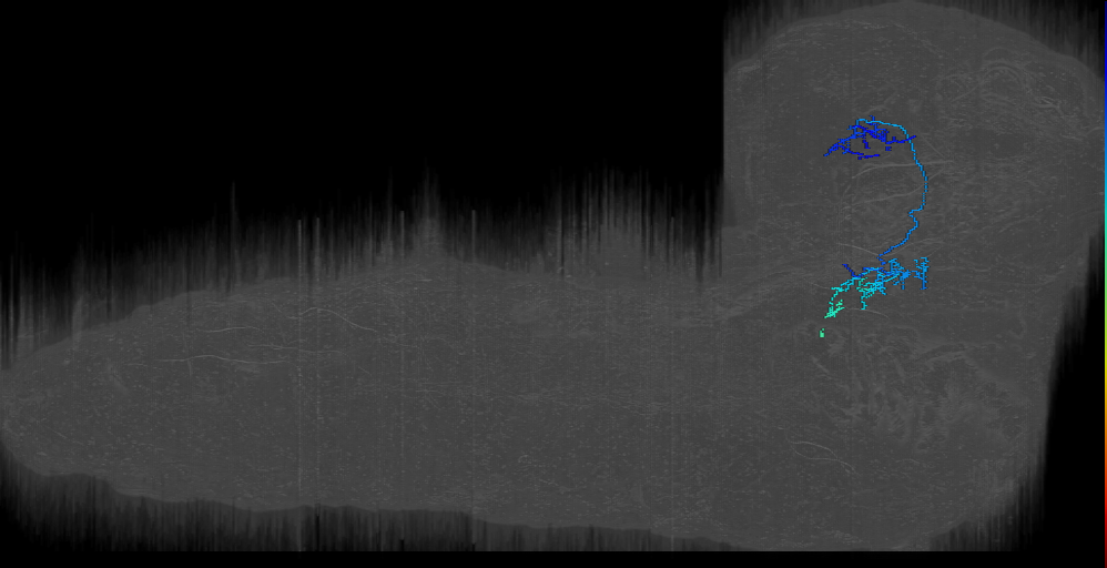 L right (PN to LH) (L1EM:3844799)