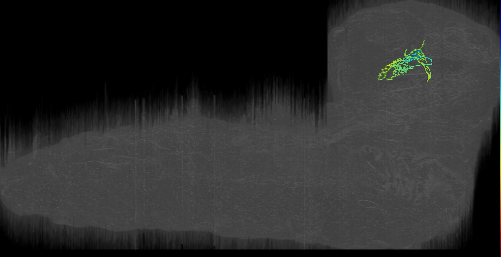 DPMm1 3 (Output of Munin)_left (L1EM:3945756)