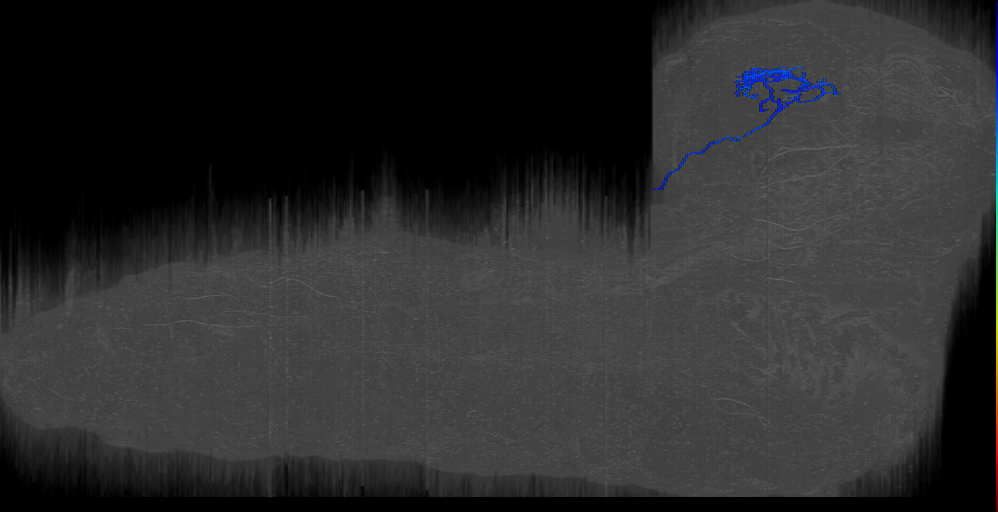 LH-22 (L1EM:4102413)
