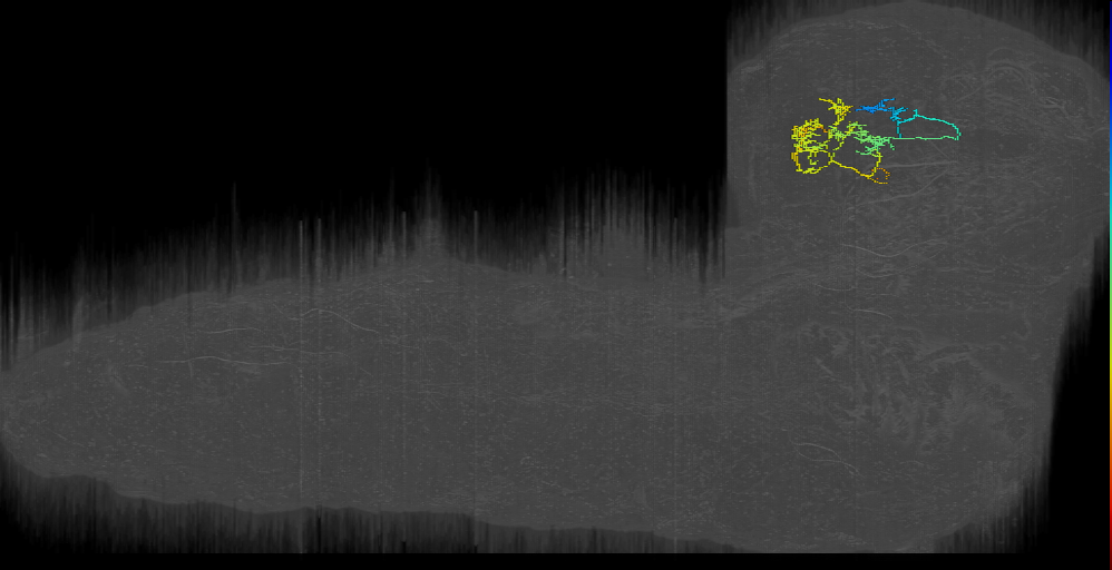 MB2ON-175 (L1EM:4422289)