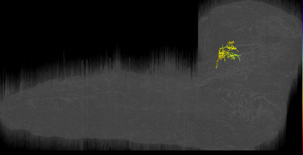 MB2IN-167 (L1EM:4664256)