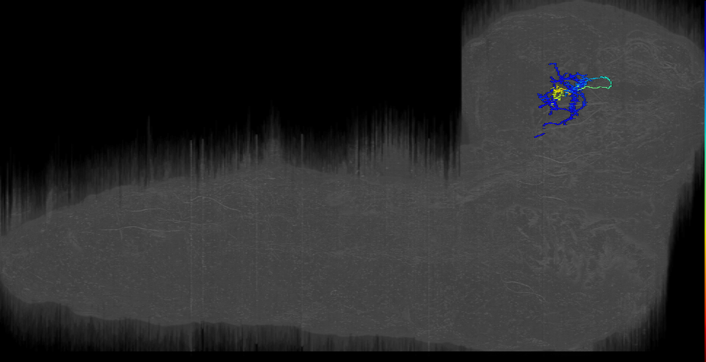 MB2IN-170 (L1EM:5700090)
