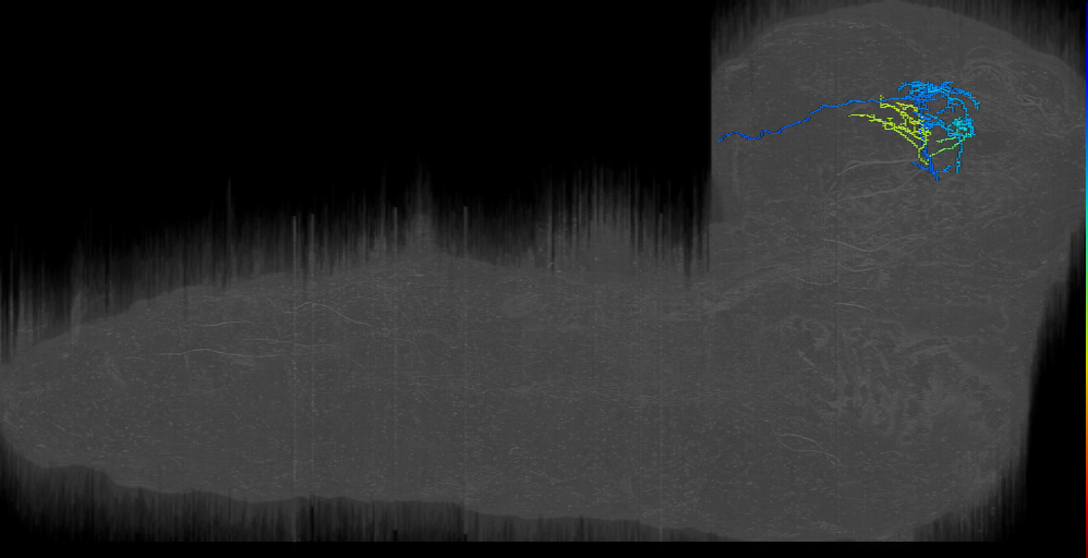 MB2ON-260 (L1EM:5971400)